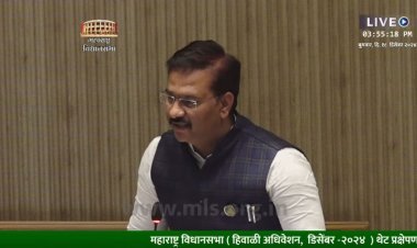 *उजनी धरणावर पर्यटन स्थळ म्हणून विकसित करण्याबाबत उठवला आवाज.